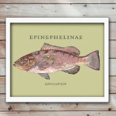 Illustration von Zackenbarschen Poster