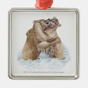 Illustration von zwei Braunbären, die im Wasser Silbernes Ornament