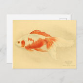 Illustration Watonai Goldfisch Koï Postkarte (Vorne/Hinten)