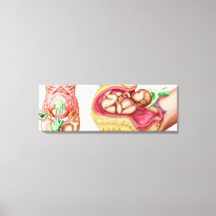 Illustration zur Darstellung der Lieferung von Föt Leinwanddruck