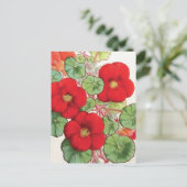 Illustration zur Vintagen Blume "Nasturtium" Postkarte (Stehend Vorderseite)