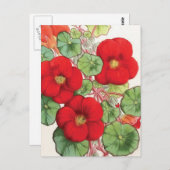 Illustration zur Vintagen Blume "Nasturtium" Postkarte (Vorne/Hinten)