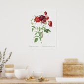 Illustration zur Vintagen Rose Poster (Küche)