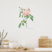 Illustration zur Vintagen Rose Poster (Küche)