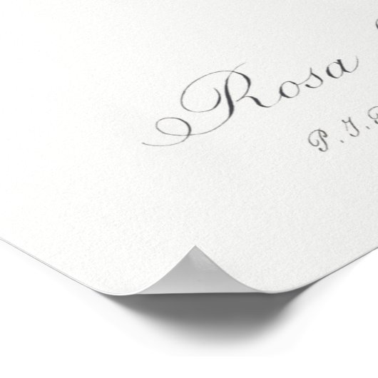 Illustration zur Vintagen Rose Poster (Ecke)