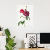 Illustration zur Vintagen Rose Poster (Heimbüro)