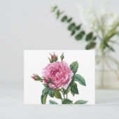 Illustration zur Vintagen Rose Postkarte (Stehend Vorderseite)