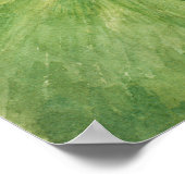 Illustration zur Vintagen Wasserlilie Poster (Ecke)