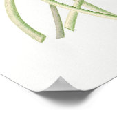 Illustration zur Vintagen Wasserlilie Poster (Ecke)