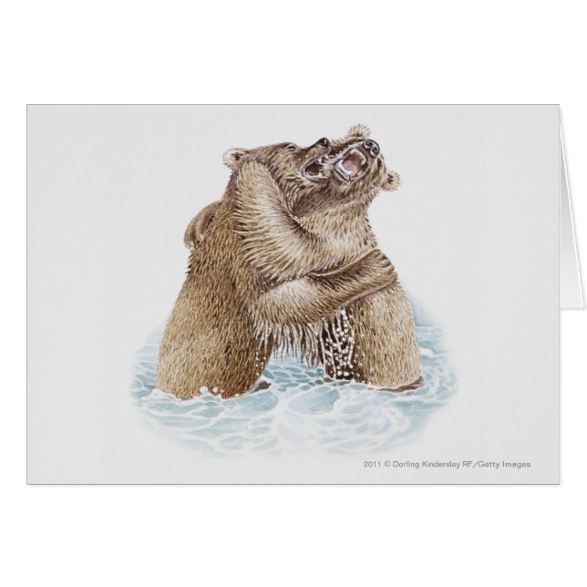 Illustration zweier im Wasser kämpfender Braunbäre (Vorderseite (Horizontal))