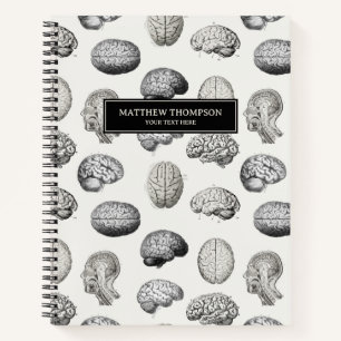 Illustrationen der alten Gehirn Anatomie Biologie Notizblock