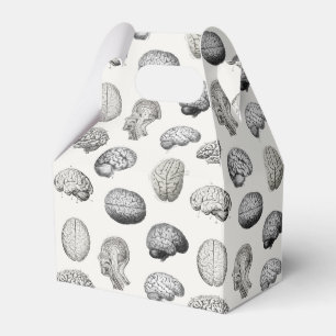 Illustrationen der Gehirn Anatomie Biologie Geschenkschachtel