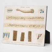 Illustrationen der Hieroglyphik und des Arms einer Fotoplatte (Seite)