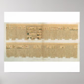 Illustrationen eines hierogischen Pampusmanuskript Poster (Vorne)