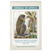 Illustrationen für Vintage afrikanische Tiere 2026