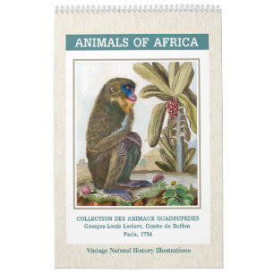 Illustrationen für Vintage afrikanische Tiere 2026 Kalender