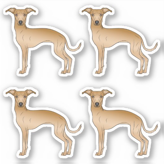 Illustrationen zum italienischen Greyhound Cartoon Aufkleber (Vorderseite)