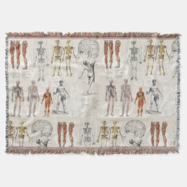 Illustrationen zur Vintagen Anatomie Decke