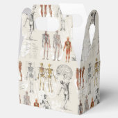 Illustrationen zur Vintagen Anatomie Geschenkschachtel (Geöffnet)