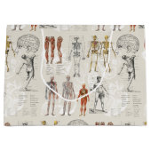 Illustrationen zur Vintagen Anatomie Große Geschenktüte (Vorderseite)