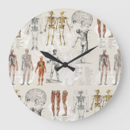 Illustrationen zur Vintagen Anatomie Große Wanduhr