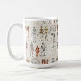 Illustrationen zur Vintagen Anatomie Kaffeetasse