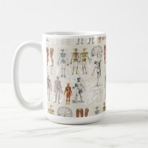Illustrationen zur Vintagen Anatomie Kaffeetasse