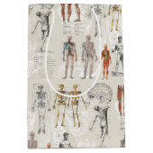 Illustrationen zur Vintagen Anatomie Mittlere Geschenktüte (Vorderseite)
