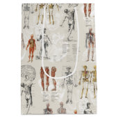 Illustrationen zur Vintagen Anatomie Mittlere Geschenktüte (Rückseite)