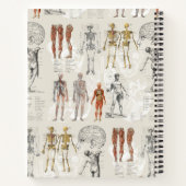 Illustrationen zur Vintagen Anatomie Notizblock (Rückseite)