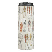 Illustrationen zur Vintagen Anatomie Thermosbecher (Rückseite)