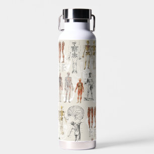 Illustrationen zur Vintagen Anatomie Trinkflasche