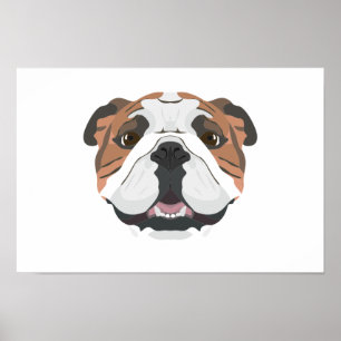 Illustrations-Englisch-Bulldogge Poster