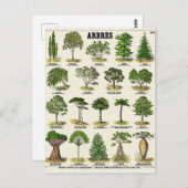 Illustrationsfehler Postkarte (Vorne/Hinten)