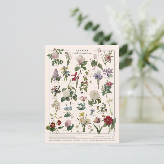 Illustrationsfliege Postkarte (Stehend Vorderseite)