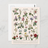 Illustrationsfliege Postkarte (Vorne/Hinten)