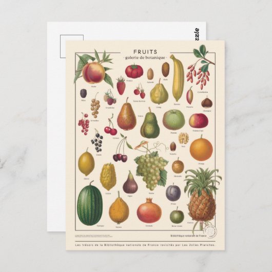 Illustrationsfrucht Postkarte (Vorne/Hinten)