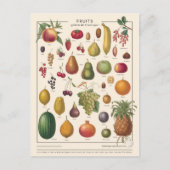 Illustrationsfrucht Postkarte (Vorderseite)