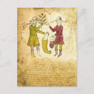 Illustrationskarte für mittelalterliche Kräuterhan Postkarte