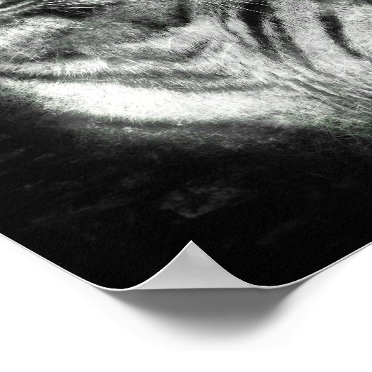 Illustrationskunst des Tigerkopfes Poster (Ecke)