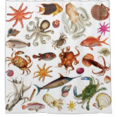 Illustrationsmuster für das Leben unter Wasser Duschvorhang (Vorderseite)