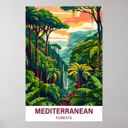 Illustrationsreise zum mediterranen Wald Poster (Vorne)
