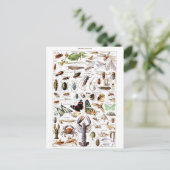 Illustrationswörterbuch Postkarte (Stehend Vorderseite)