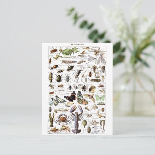 Illustrationswörterbuch Postkarte (Stehend Vorderseite)