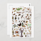 Illustrationswörterbuch Postkarte (Vorne/Hinten)