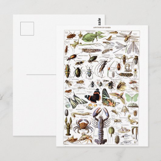 Illustrationswörterbuch Postkarte (Vorne/Hinten)