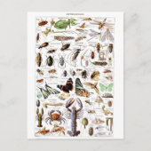 Illustrationswörterbuch Postkarte (Vorderseite)