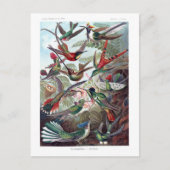 Illustrationswörterbuch Postkarte (Vorderseite)