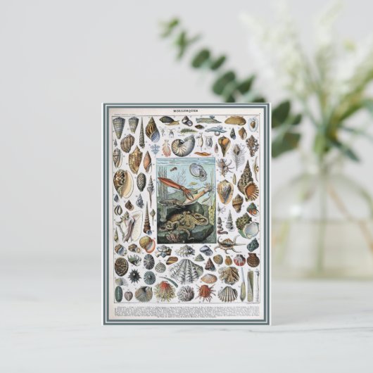 Illustrationswörterbücher Postkarte (Stehend Vorderseite)