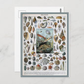 Illustrationswörterbücher Postkarte (Vorne/Hinten)